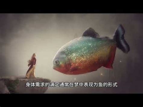 夢到水裡有魚|夢見水中有魚